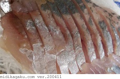 マアジ-料理-刺身